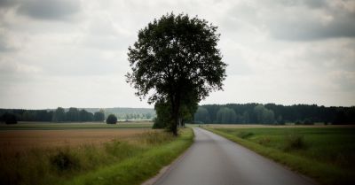 Namysłów: śmiertelny wypadek na DW 454 między Biestrzykowicami a Świerczowem